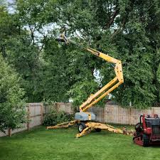 Best Tree and Shrub Care  in Bal Harbour, FL